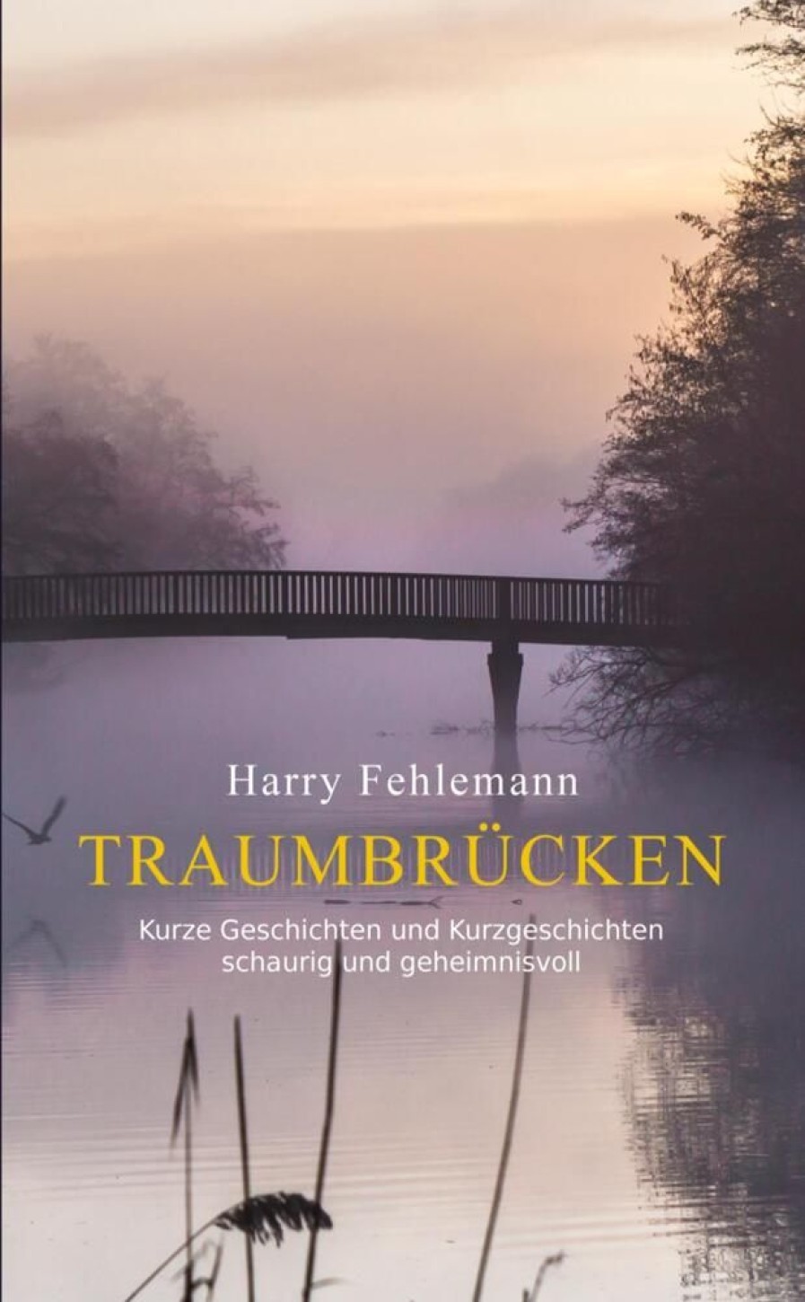 Science Fiction & Fantasy Fehlemann, Harry | Traumbrucken