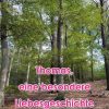 Liebesromane Martin, Linda | Thomas - Eine Besondere Liebesgeschichte